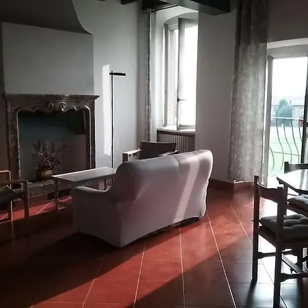 Artemisia Antique Fara *